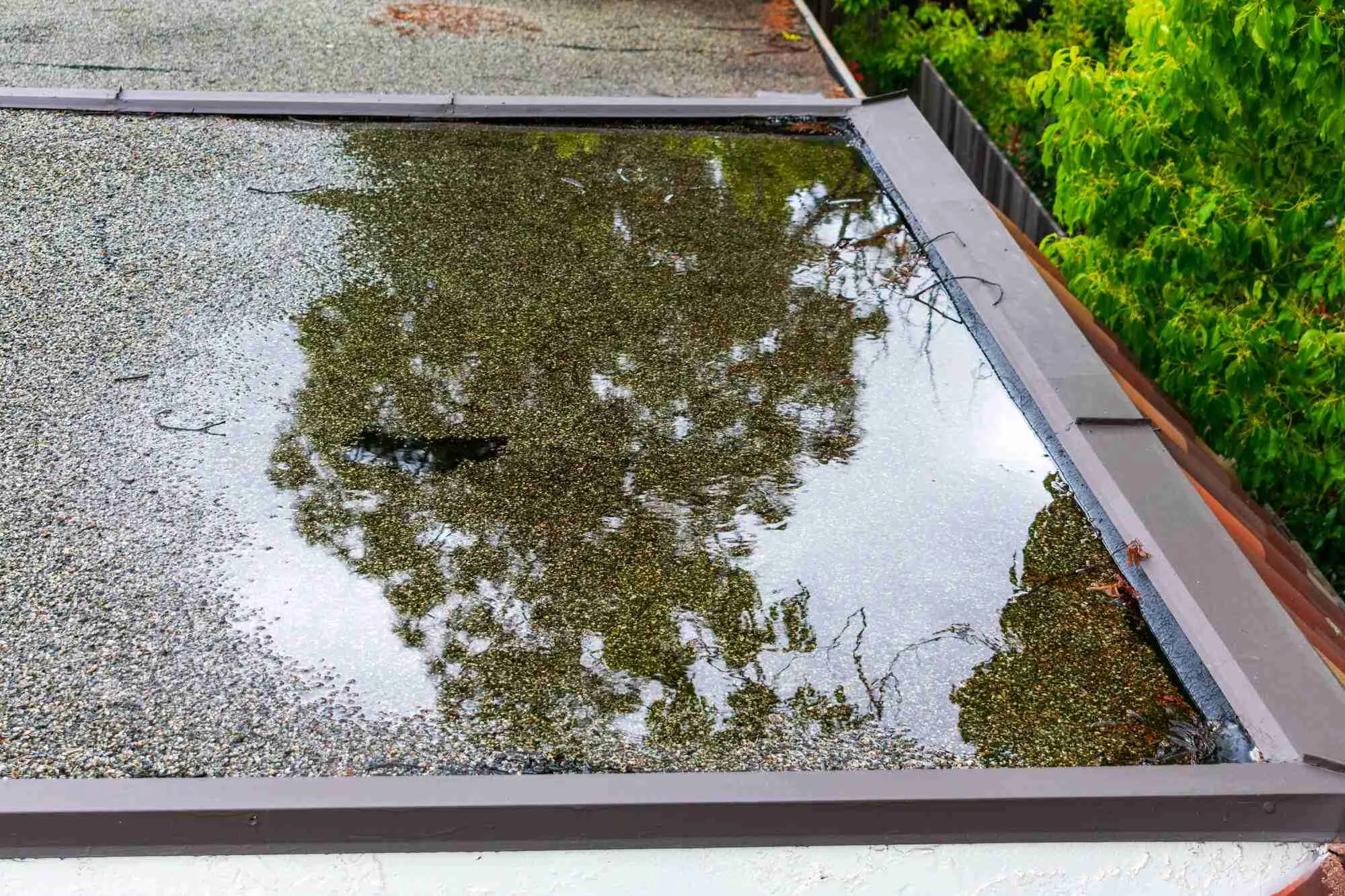 Water Damage Roof Repair Raleigh NC