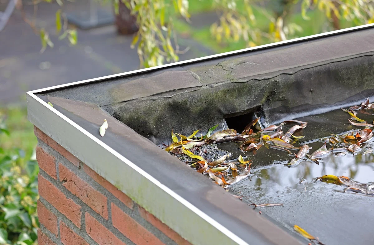 Roof Drain Cleaning and Repair